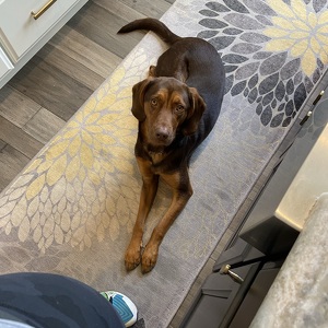 Fundraising Page: Kelly Besnick